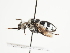  ( - TJW_1518)  @11 [ ] nrr (2023) Unspecified Thomas Wood