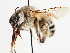  ( - TJW_1526)  @11 [ ] nrr (2023) Unspecified Thomas Wood