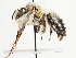  ( - TJW_1527)  @11 [ ] nrr (2023) Unspecified Thomas Wood