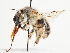  ( - TJW_1579)  @11 [ ] nrr (2023) Unspecified Thomas Wood