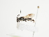 ( - TJW_1619)  @11 [ ] nrr (2023) Unspecified Thomas Wood