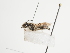 ( - TJW_1623)  @11 [ ] nrr (2023) Unspecified Thomas Wood