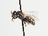  ( - TJW_1635)  @11 [ ] nrr (2023) Unspecified Thomas Wood