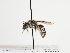 ( - TJW_1652)  @11 [ ] nrr (2023) Unspecified Thomas Wood