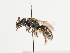  ( - TJW_1660)  @11 [ ] nrr (2023) Unspecified Thomas Wood