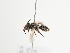  ( - TJW_1707)  @11 [ ] nrr (2023) Unspecified Thomas Wood