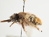  ( - TJW_1709)  @11 [ ] nrr (2023) Unspecified Thomas Wood