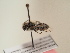 ( - TJW_1745)  @11 [ ] nrr (2025) Unspecified Thomas Wood
