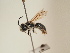  ( - TJW_1795)  @11 [ ] nrr (2025) Unspecified Thomas Wood
