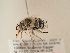  ( - TJW_1842)  @11 [ ] nrr (2025) Unspecified Thomas Wood