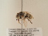  ( - TJW_1854)  @11 [ ] nrr (2025) Unspecified Thomas Wood