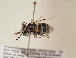  ( - TJW_1879)  @11 [ ] nrr (2025) Unspecified Thomas Wood