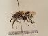 ( - TJW_1881)  @11 [ ] nrr (2025) Unspecified Thomas Wood