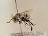  ( - TJW_1883)  @11 [ ] nrr (2025) Unspecified Thomas Wood