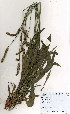  ( - BS0204)  @11 [ ] CreativeCommons - Attribution Non-Commercial Share-Alike (2012) Mamadi Theresa Sethusa University of Johannesburg