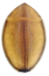  ( - GV-PintBruyant1F220609)  @11 [ ] No Rights Reserved  Unspecified Unspecified