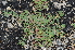  ( - Hight227)  @11 [ ] CreativeCommons - Attribution Share-Alike (2020) Unspecified Texas Lutheran University