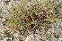  ( - Hight194)  @11 [ ] CreativeCommons - Attribution Share-Alike (2020) Unspecified Texas Lutheran University