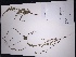  ( - Lievens6379)  @11 [ ] CreativeCommons  Attribution Non-Commercial Share-Alike (2016) Madalynne Gatto Texas Lutheran University