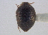  ( - JBWM0089679)  @11 [ ] CreativeCommons - Attribution (2014) CBG Photography Group Centre for Biodiversity Genomics