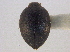  ( - JBWM0089685)  @11 [ ] CreativeCommons - Attribution (2014) CBG Photography Group Centre for Biodiversity Genomics