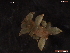  ( - WSBS1185)  @14 [ ] Unspecified (default): All Rights Reserved  Neretina T.V. Unspecified