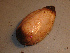  ( - WSECH0020)  @13 [ ] CreativeCommons - Attribution (2010) Unspecified Centre for Biodiversity Genomics