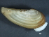 ( - WS003)  @14 [ ] CreativeCommons - Attribution (2010) Unspecified Centre for Biodiversity Genomics