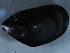  ( - WS046)  @14 [ ] CreativeCommons - Attribution (2010) Unspecified Centre for Biodiversity Genomics