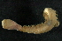  ( - WS0211)  @13 [ ] CreativeCommons - Attribution (2010) Unspecified Centre for Biodiversity Genomics