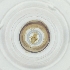  ( - WTPV_014_C5)  @11 [ ] by  Genome Research Ltd as Wellcome Sanger Institute Genome Research Limited operating as Wellcome Sanger Institute