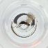  ( - WTPV_014_H10)  @11 [ ] by  Genome Research Ltd as Wellcome Sanger Institute Genome Research Limited operating as Wellcome Sanger Institute