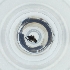  ( - WTPV_016_E2)  @11 [ ] by  Genome Research Ltd as Wellcome Sanger Institute Genome Research Limited operating as Wellcome Sanger Institute