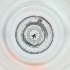  ( - WTPV_016_G11)  @11 [ ] by  Genome Research Ltd as Wellcome Sanger Institute Genome Research Limited operating as Wellcome Sanger Institute