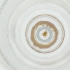  ( - WTPV_027_B10)  @11 [ ] by  Genome Research Ltd as Wellcome Sanger Institute Genome Research Limited operating as Wellcome Sanger Institute