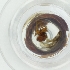  ( - WTPV_029_D8)  @11 [ ] by  Genome Research Ltd as Wellcome Sanger Institute Genome Research Limited operating as Wellcome Sanger Institute