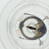  ( - WTPV_032_D7)  @11 [ ] by  Genome Research Ltd as Wellcome Sanger Institute Genome Research Limited operating as Wellcome Sanger Institute