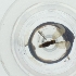  ( - WTPV_032_D8)  @11 [ ] by  Genome Research Ltd as Wellcome Sanger Institute Genome Research Limited operating as Wellcome Sanger Institute