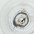  ( - WTPV_032_H6)  @11 [ ] by  Genome Research Ltd as Wellcome Sanger Institute Genome Research Limited operating as Wellcome Sanger Institute