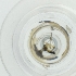  ( - WTPV_040_H4)  @11 [ ] by  Genome Research Ltd as Wellcome Sanger Institute Genome Research Limited operating as Wellcome Sanger Institute