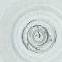  ( - WTPV_042_H1)  @11 [ ] by  Genome Research Ltd as Wellcome Sanger Institute Genome Research Limited operating as Wellcome Sanger Institute