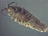  ( - L19AR1-06)  @11 [ ] Unspecified (default): All Rights Reserved  Unspecified Unspecified