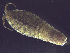  ( - L19AR1-06)  @11 [ ] Unspecified (default): All Rights Reserved  Unspecified Unspecified