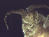  ( - L19AR1-06)  @11 [ ] Unspecified (default): All Rights Reserved  Unspecified Unspecified