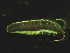  ( - L219AR1-01)  @13 [ ] Unspecified (default): All Rights Reserved  Unspecified Unspecified
