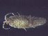  ( - L72AR1-06)  @11 [ ] Unspecified (default): All Rights Reserved  Unspecified Unspecified