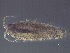  ( - L72AR1-06)  @11 [ ] Unspecified (default): All Rights Reserved  Unspecified Unspecified