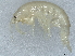  ( - UB-KS1-05)  @13 [ ] CreativeCommons - Attribution (2020) CBG Photography Group Centre for Biodiversity Genomics