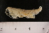  ( - ANET08S140-01)  @13 [ ] CreativeCommons - Attribution (2010) Unspecified Centre for Biodiversity Genomics