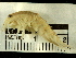  ( - BIOUG01329-G12)  @14 [ ] CreativeCommons - Attribution (2011) CBG Photography Group Centre for Biodiversity Genomics